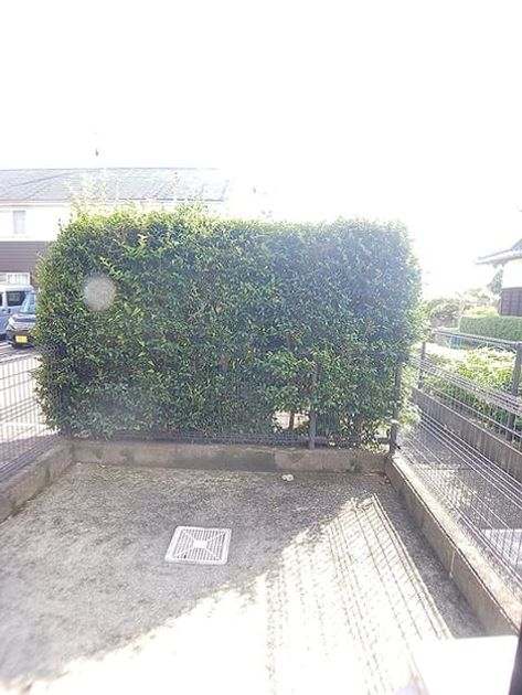 Naikan9 20260929000000 945x630