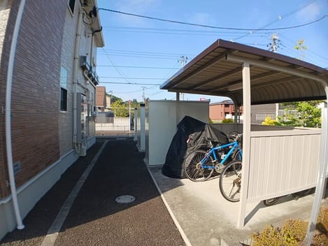 Naikan11 20260519000000