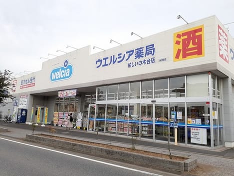 Naikan17 20221003000000