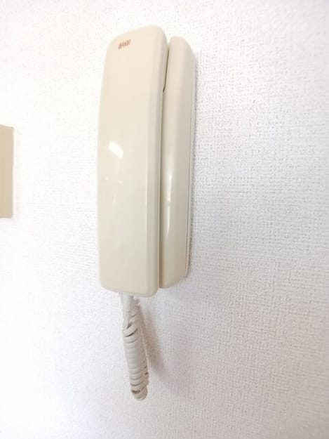 Naikan9 20260525000000