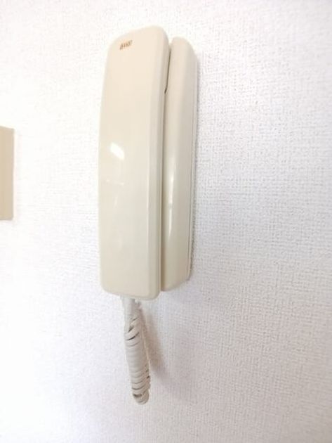 Naikan9 20260525000000 945x630
