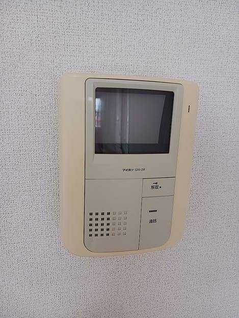 Naikan10 20260602000000