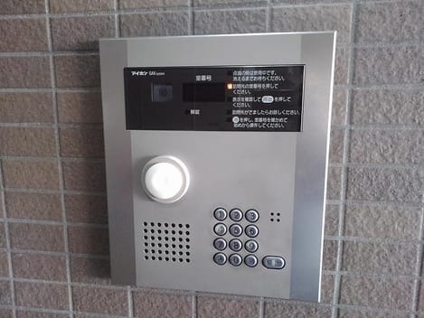 Naikan11 20210203000000