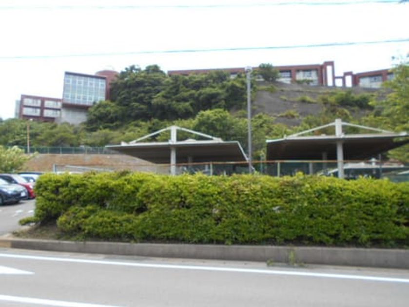 Naikan15 20210604000000 945x630