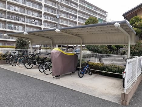 Naikan11 20241112000000