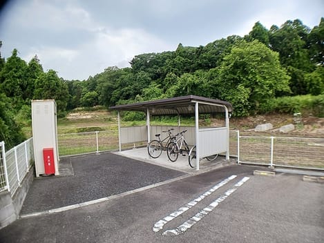 Naikan11 20260612000000