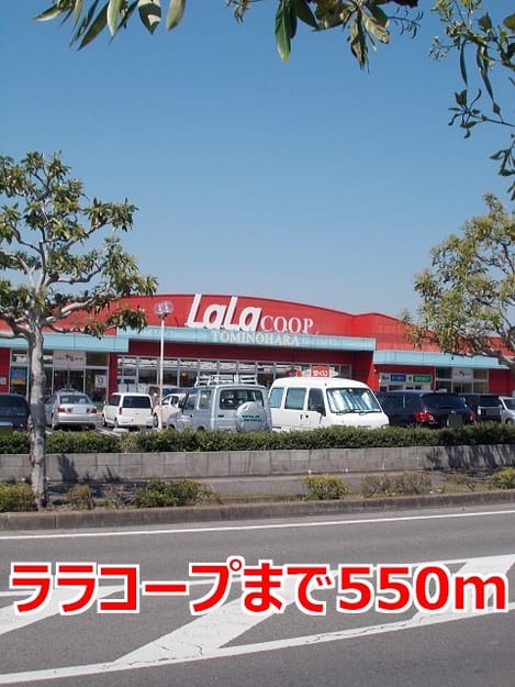 Naikan15 20150301000000