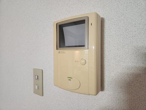 Naikan12 20260209000000