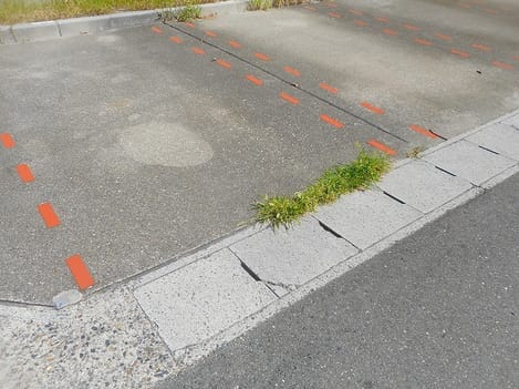 Naikan10 20250820000000