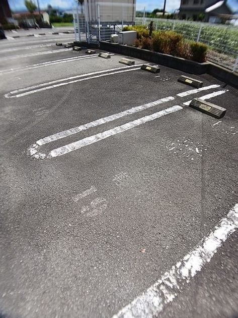 Naikan11 20260807000000 945x630