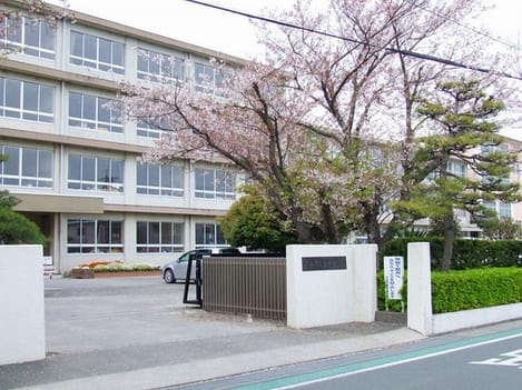 Naikan13 20260518000000