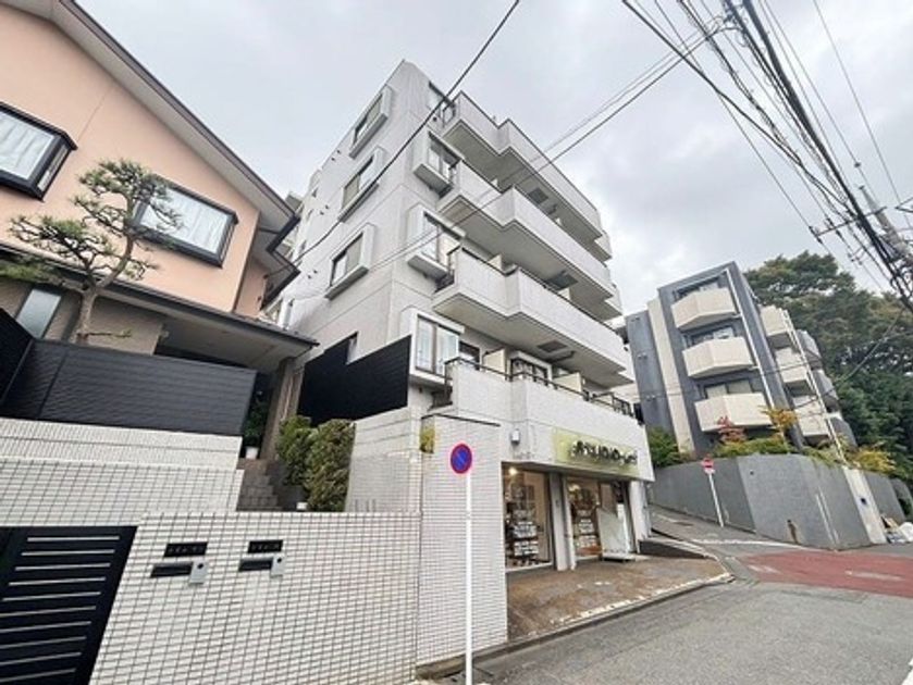 Naikan17 20260816211848 945x630