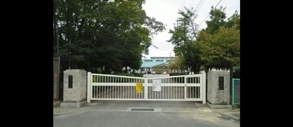 Naikan17 20200305000000 945x630