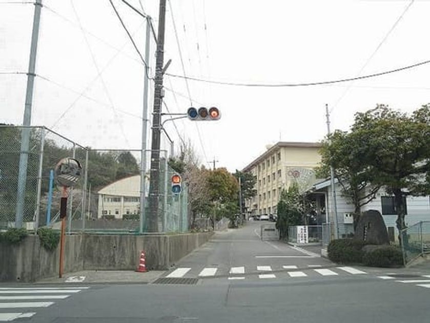 Naikan13 20260205000000 945x630