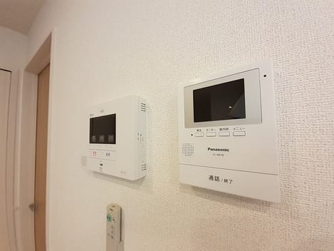 Naikan11 20241111000000