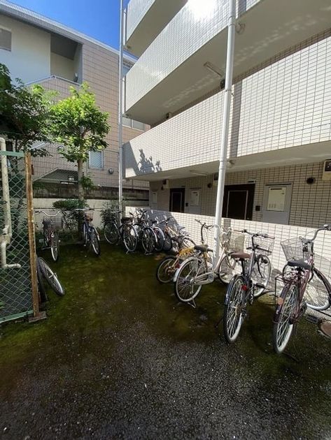 Naikan13 20260611174251 945x630