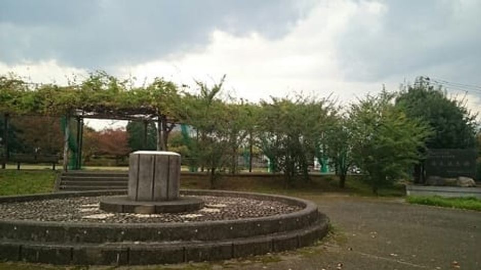 Naikan16 20260515000000 945x630