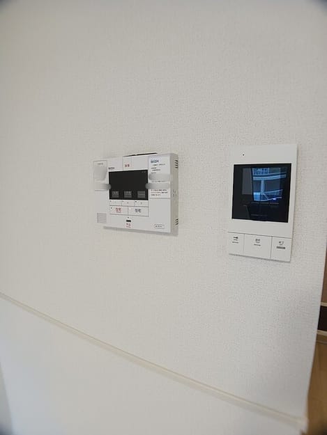 Naikan11 20260818000000