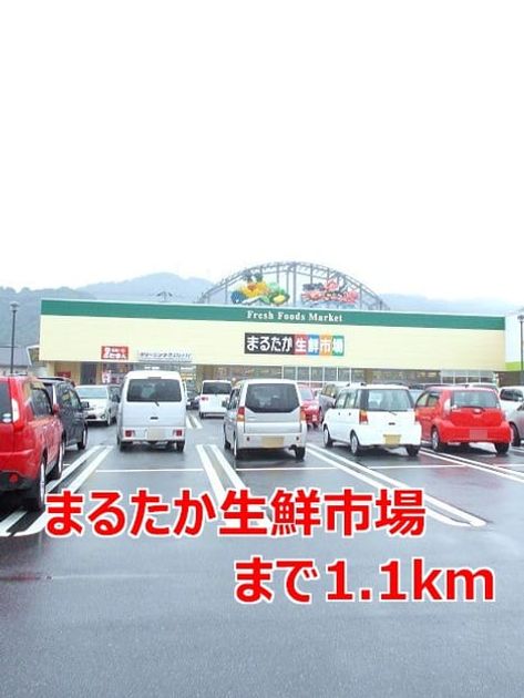 Naikan16 20140104000000 945x630