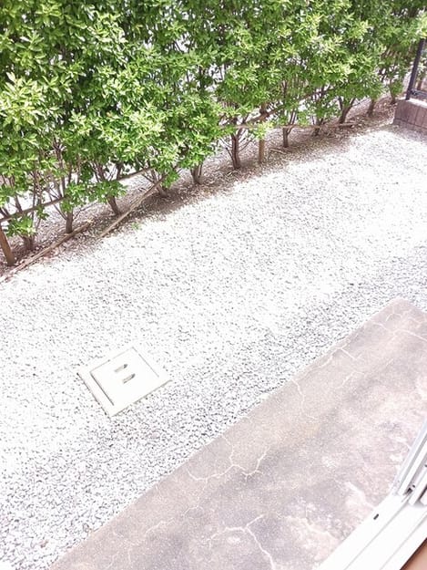 Naikan8 20250918000000