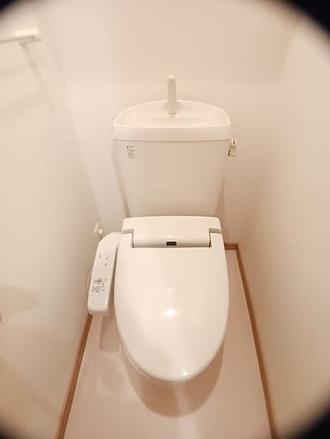 Naikan8 20260828000000 945x630