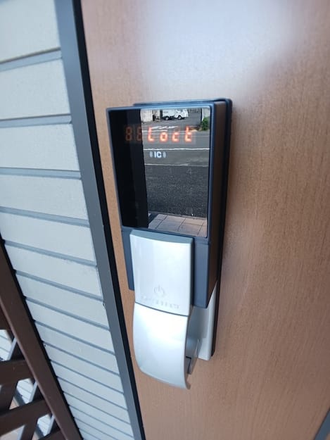 Naikan11 20260825000000