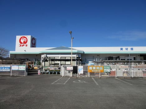 Naikan15 20250207000000