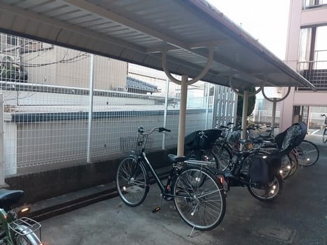 Naikan11 20230106000000