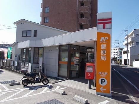 Naikan17 20260108000000