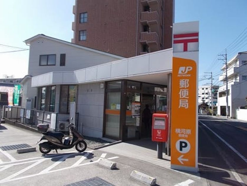 Naikan17 20260108000000 945x630