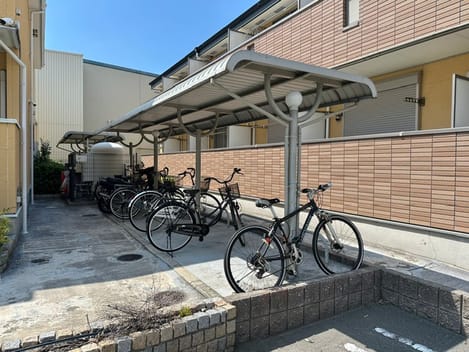 Naikan11 20260901000000