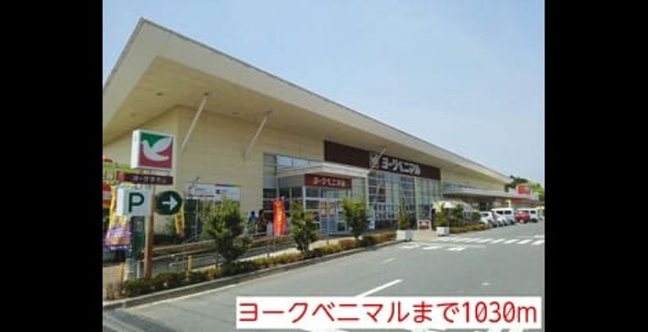 Naikan17 20150112000000 945x630