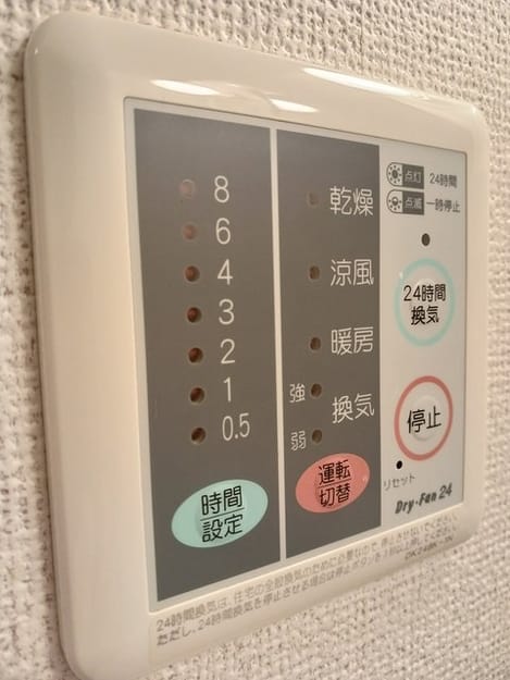 Naikan10 20250115000000