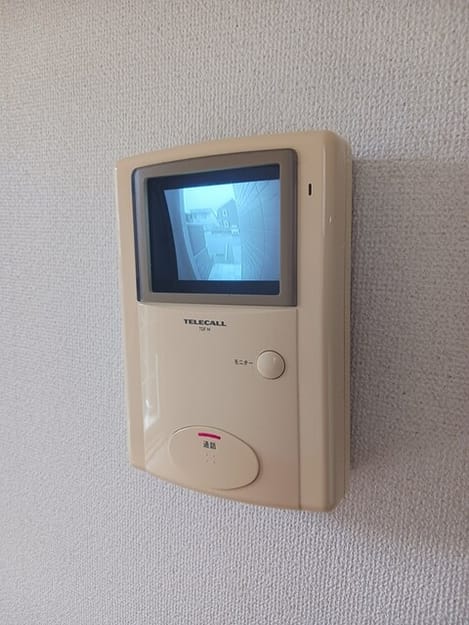 Naikan7 20260828000000