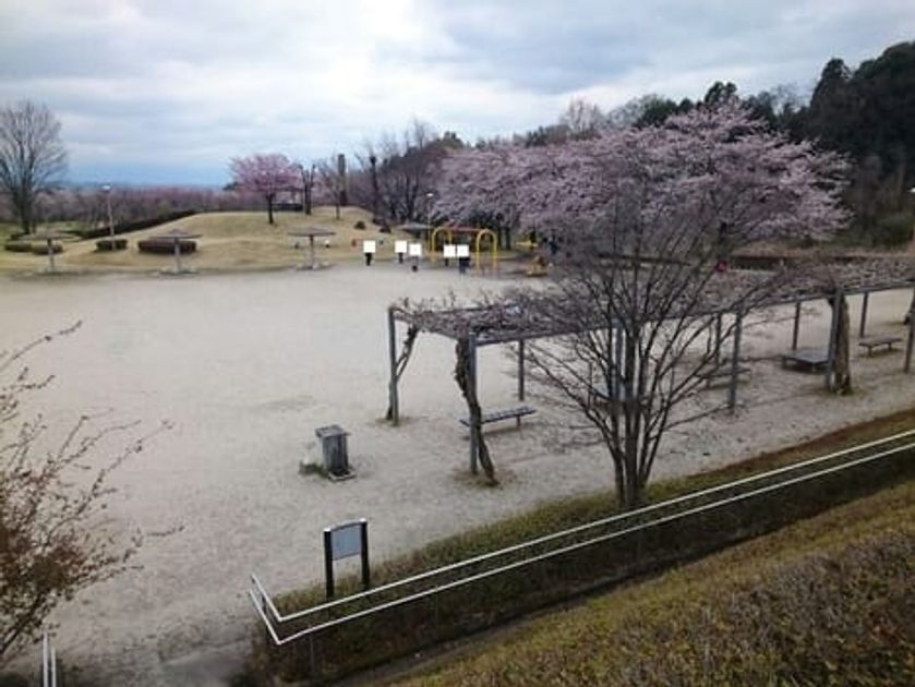 Naikan18 20210120000000 945x630