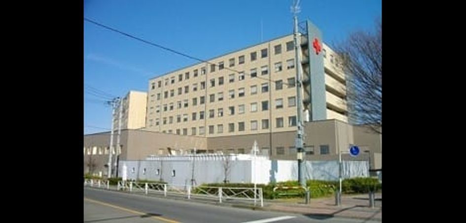 Naikan14 20250411000000 945x630