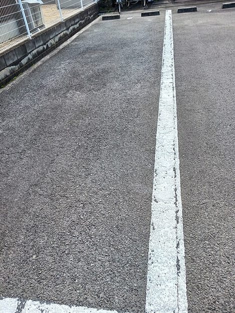 Naikan11 20260917000000