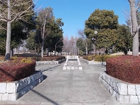 Naikan17 20210802000000