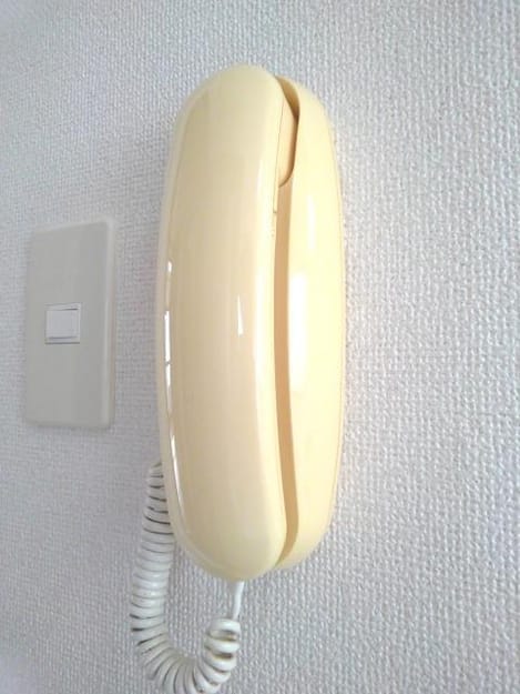 Naikan11 20191004000000