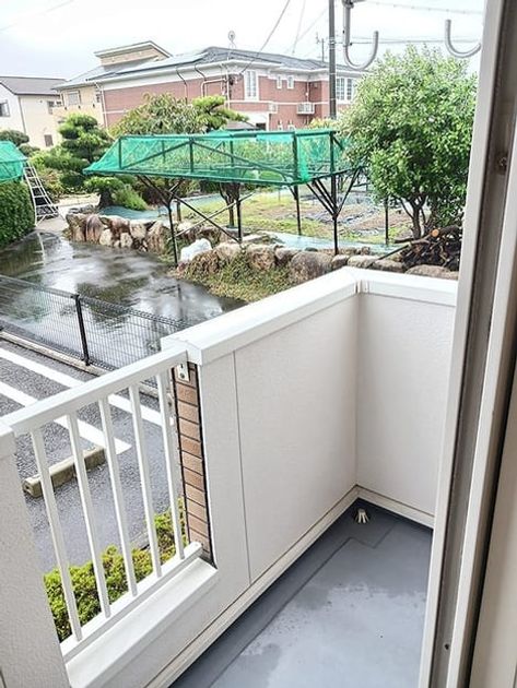 Naikan8 20261026000000 945x630