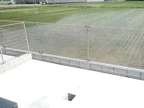 Naikan9 20250528000000