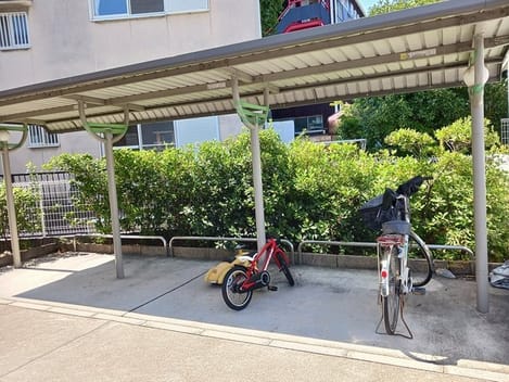 Naikan10 20250819000000