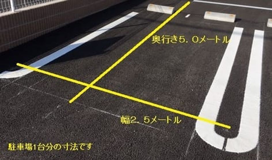 Naikan11 20260424000000 945x630