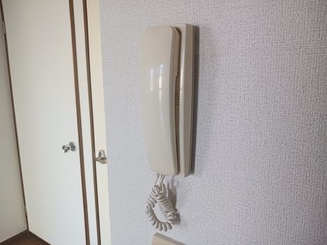 Naikan9 20241224000000