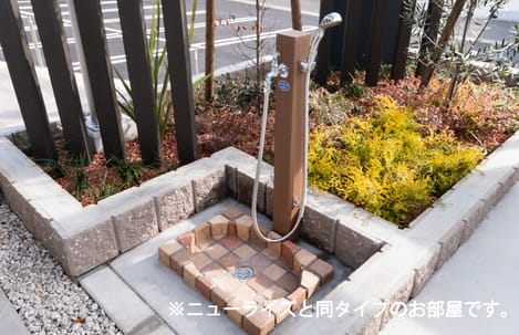 Naikan10 20260803000000