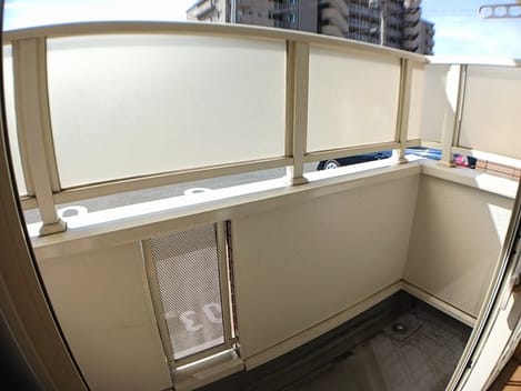 Naikan8 20240919000000