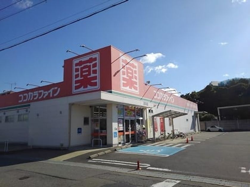 Naikan15 20251121000000 945x630
