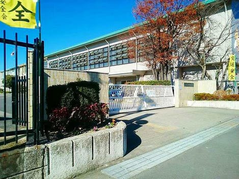 Naikan18 20260624000000