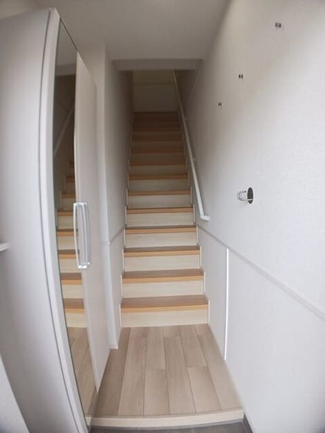 Naikan11 20250227000000 945x630