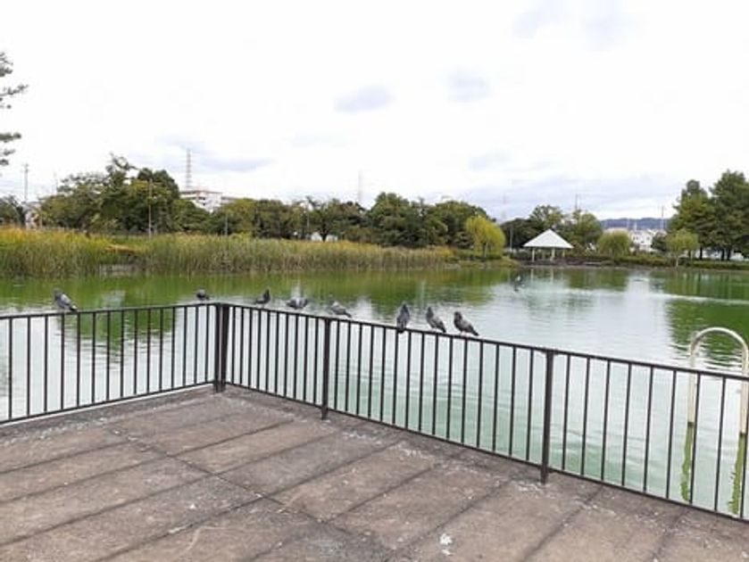 Naikan17 20230420000000 945x630